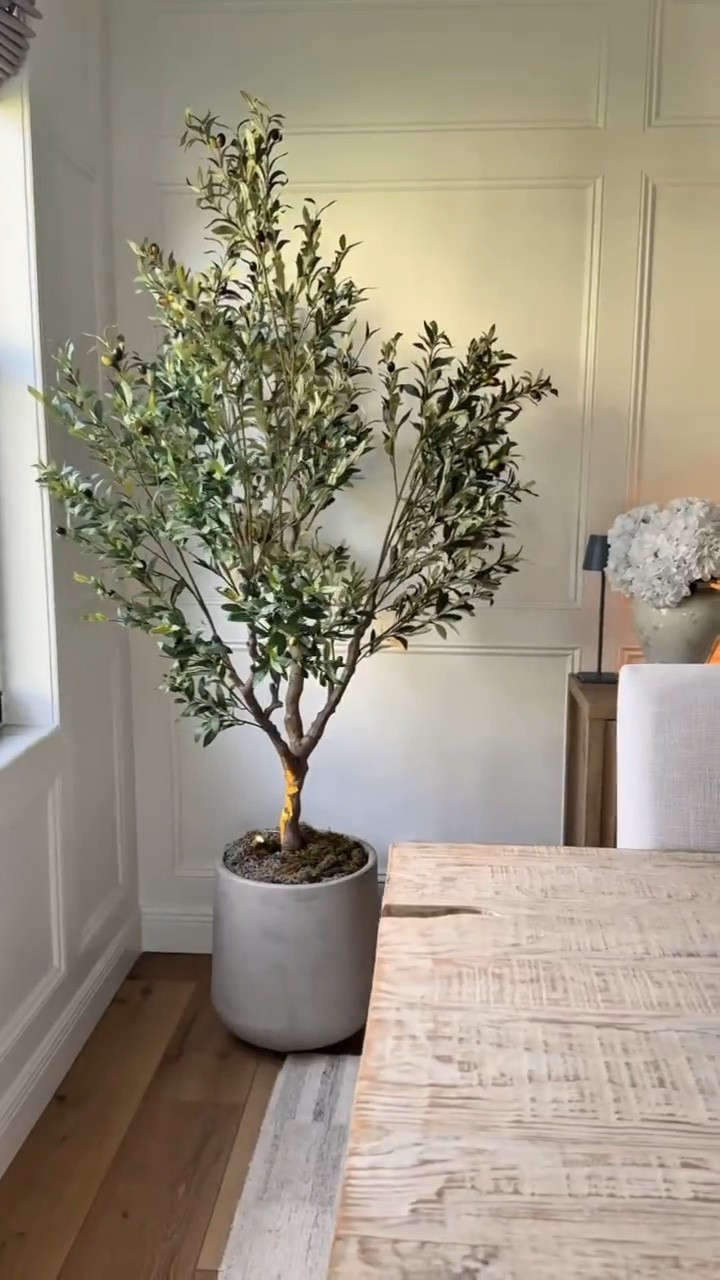 Trend Alert! 🔥 Get the look of the viral Amazon planters.

#LTKhome #amazonfinds #viralfinds #planters #amazonhome #homedecor #ltkit

#LTKSaleAlert #LTKHome #LTKdayinmylife