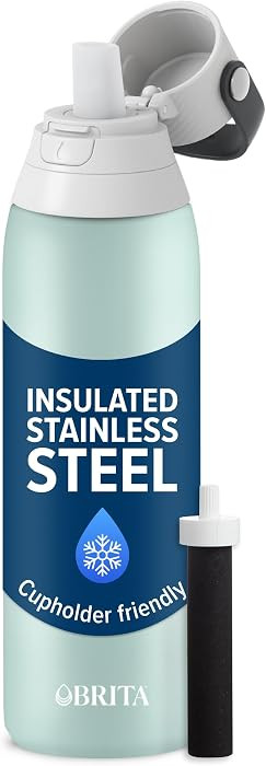 Brita Stainless Steel Premium Filtering Water Bottle, BPA-Free, Reusable, Insulated, Replaces 300... | Amazon (US)