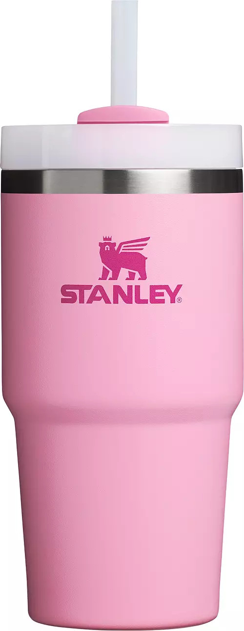 Stanley 20 oz. Quencher H2.0 FlowState Tumbler | Dick's Sporting Goods