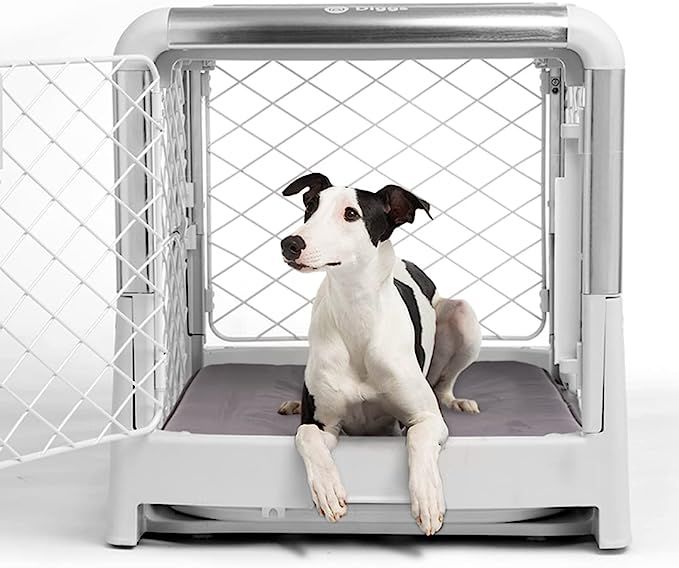 Diggs Revol Dog Crate (Collapsible Dog Crate, Portable Dog Crate, Travel Dog Crate, Dog Kennel) f... | Amazon (US)