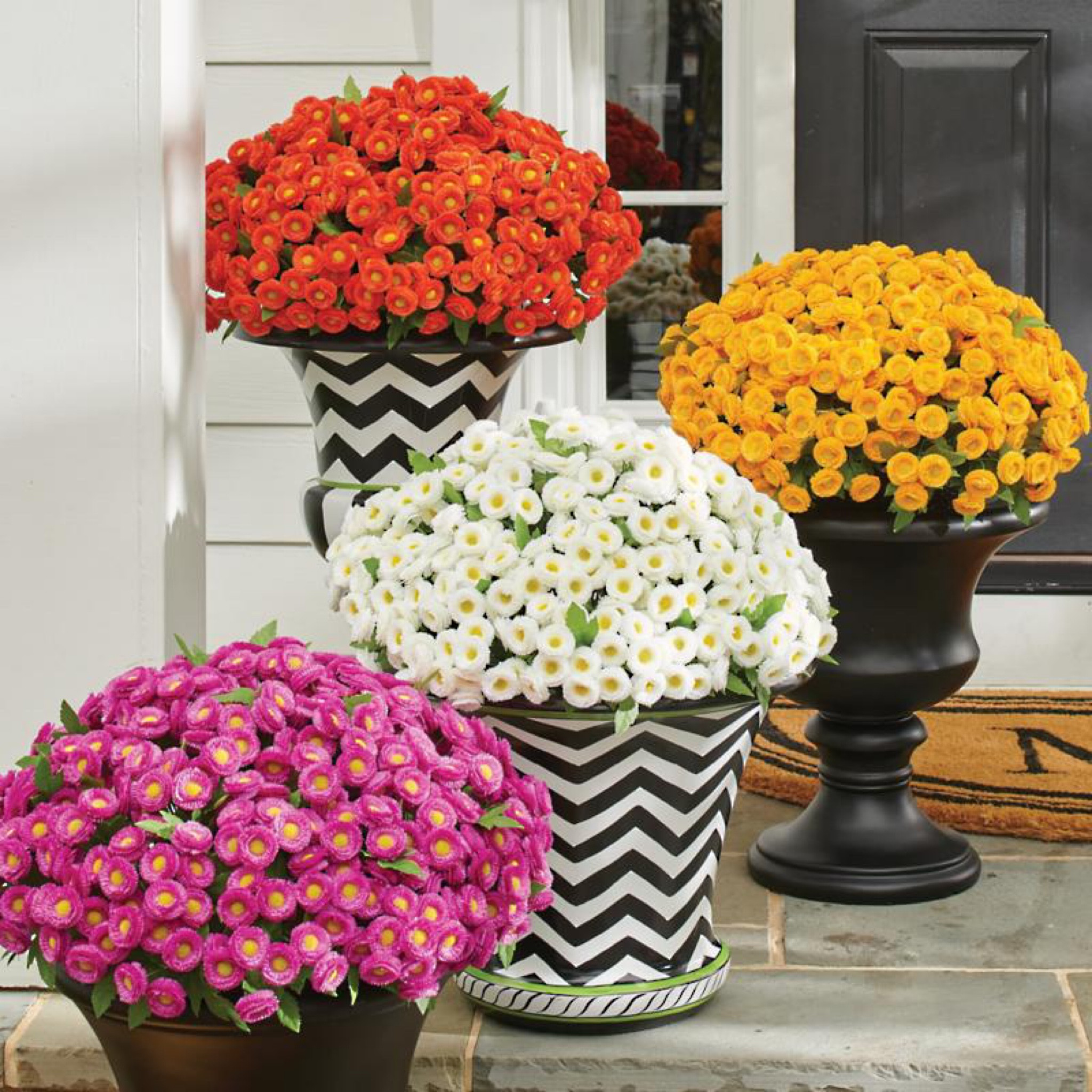 Faux mums 

#LTKSeasonal #LTKhome #LTKHoliday