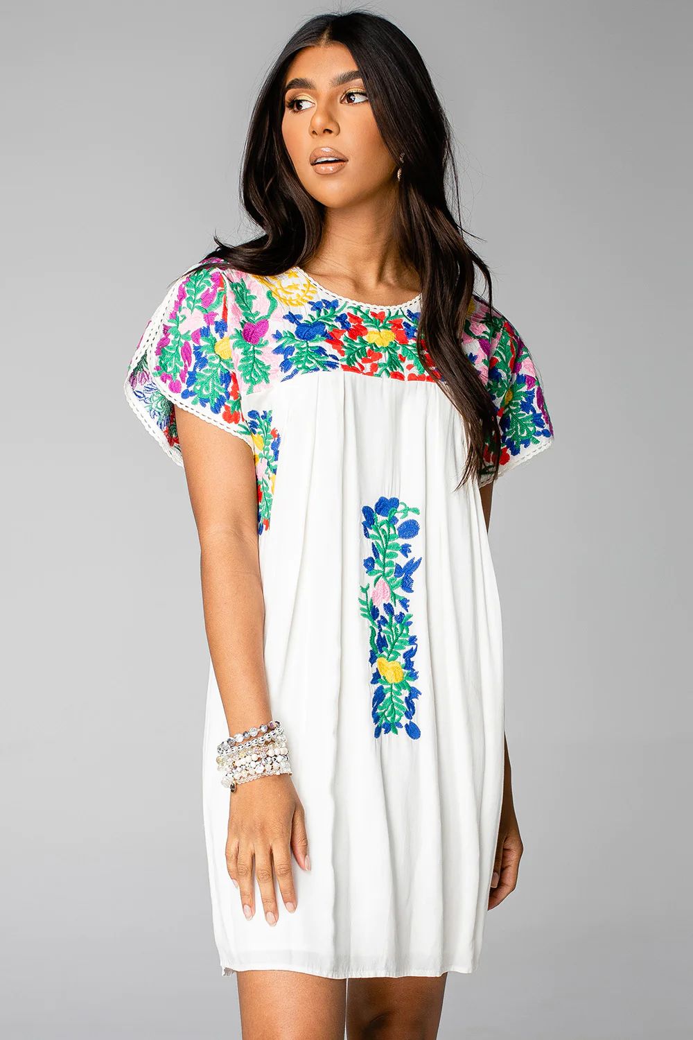 Carolina Short Sleeved Embroidered Mini Dress - Multi | BuddyLove