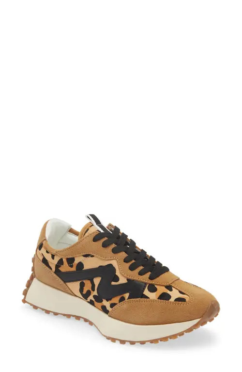 Steve Madden Campo-L Leopard Print Genuine Calf Hair Sneaker in Leopard/Tan at Nordstrom, Size 9.5 | Nordstrom