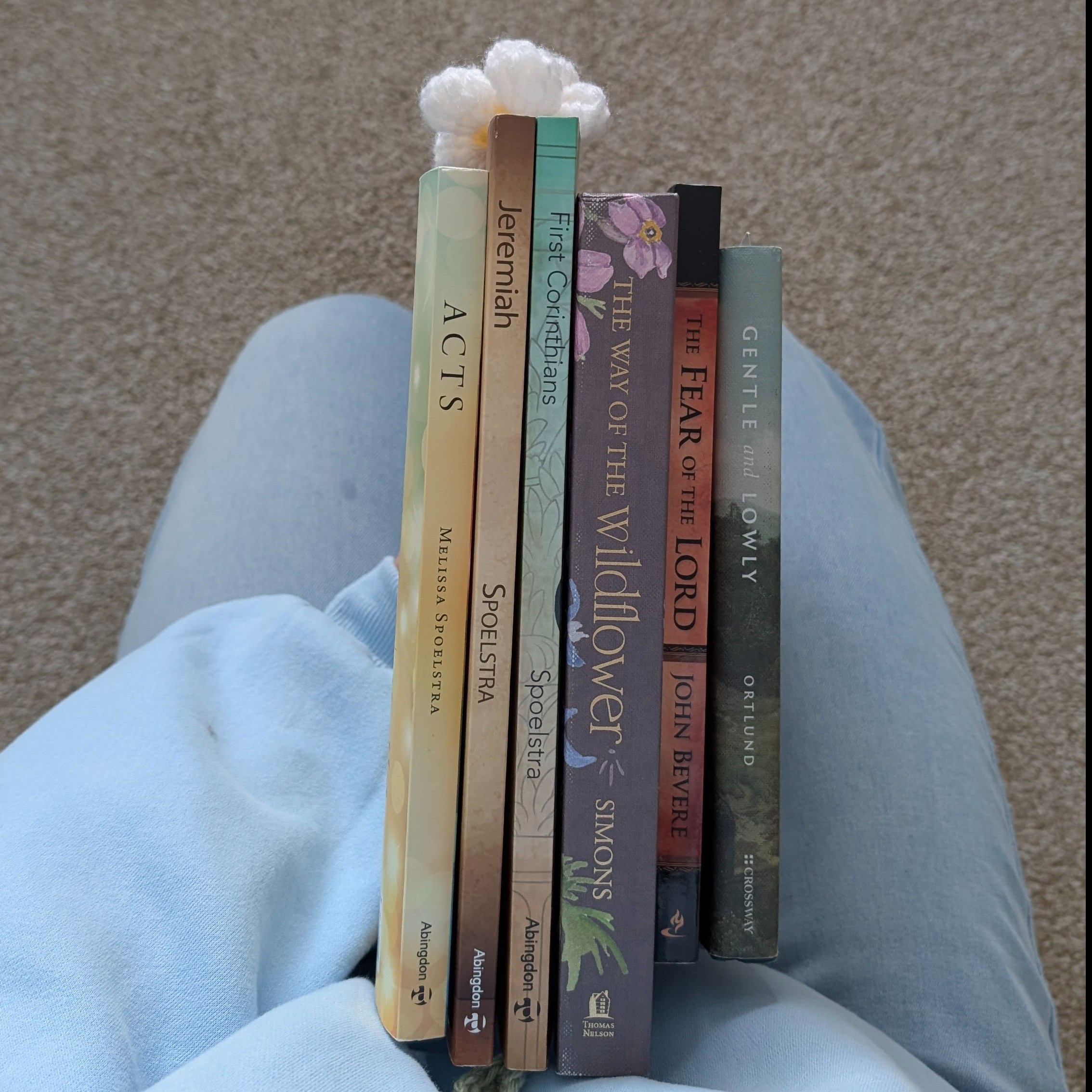 Christian books I've studied and recommended.  Currently in 1 Corinthians and it is SO good.  The wildflower book is so encouraging and has little sections for different seasons of life 

#LTKselfcare #LTKstorytime #LTKdayinmylife