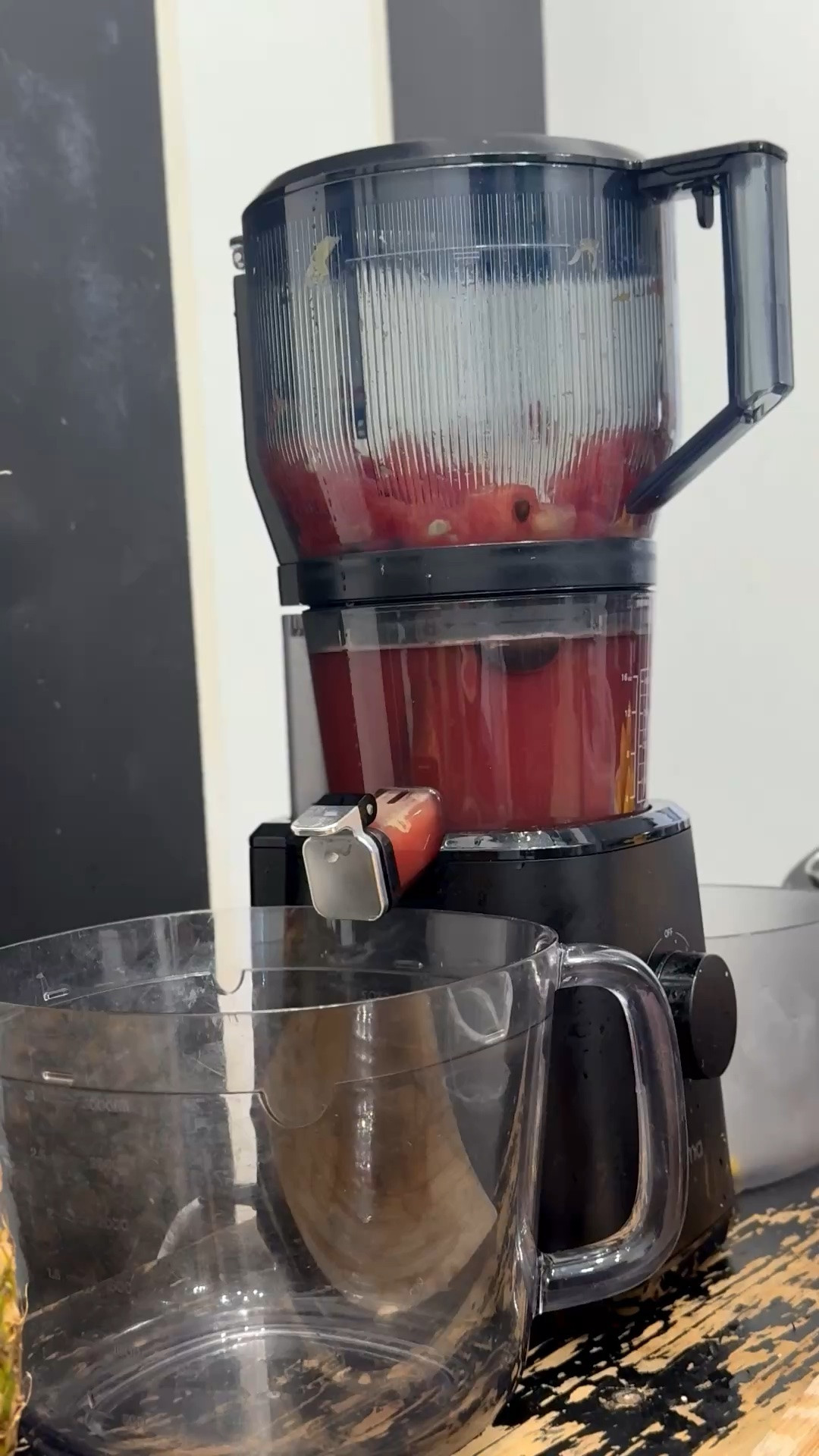 The best cold pressed juicer on the market and I will stand by that every single time. Easy to use, perfect for batch juicing, and makes staying consistent with your health so much easier.

Shop the cold pressed juicer I use daily on my LTK.

#ShoppingWithPriiincesss #ColdPressedJuicer #JuicingLife #HealthyLifestyle #WellnessRoutine #JuicerLife #DailyHabits #GlowUpJourney #HealthAndWellness #SelfCareEssentials #JuiceDaily #LifestyleUpgrade #HealthyLiving #AtlantaMom #Atlantamom #Atlantabloggers #Atlantablogger #AtlantaCreator #Atlantacontentcreators #Atlantacontentcreator

#LTKselfcare #LTKfoodie #LTKHome