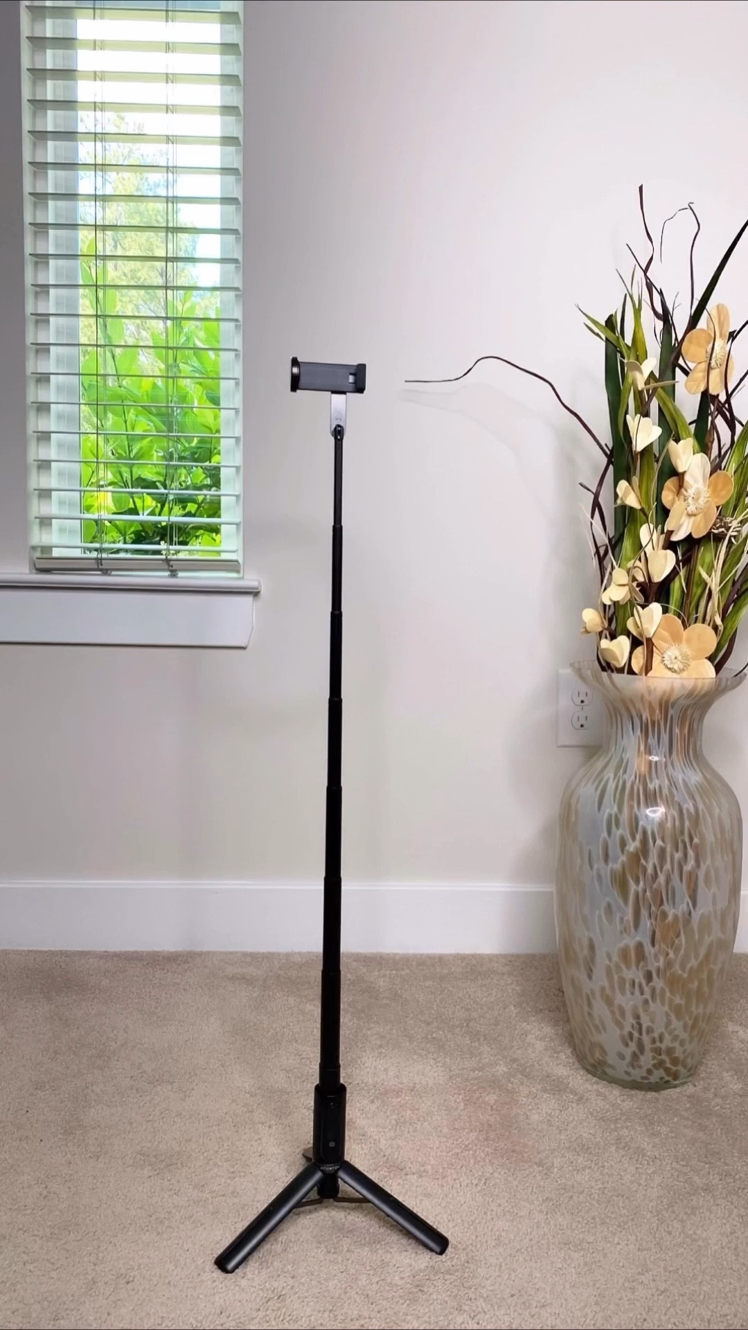 My fav tripod 🖤
.
🔖 Subscribe to my LTK for more

#LTKHome #LTKFindsUnder50 #LTKTravel