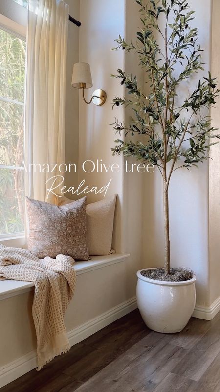 Amazon 7ft realistic faux olive tree
#homedecor#olivetree#decor

#LTKhome #LTKVideo