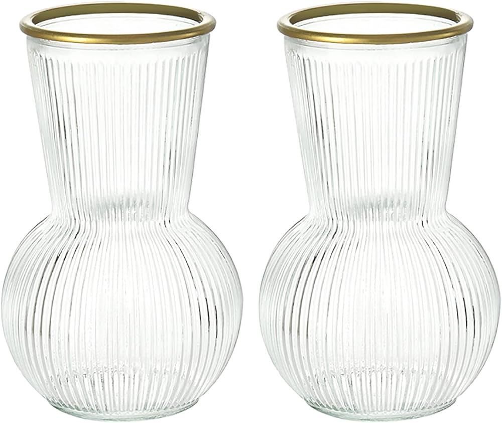 Smiletag Ribbed Glass Vases, Modern Fluted Glass Vases for Living Room Decor, Flower Vases for Ce... | Amazon (US)