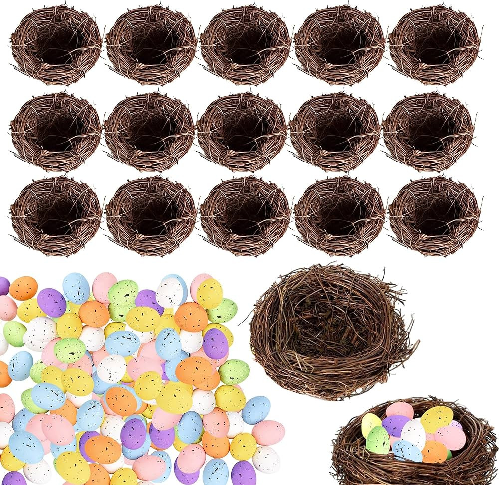 16 Pcs Easter Bird Nests for Crafts with 100 Pcs Eggs Artificial Birds Nest Decor Fake Bird Nest ... | Amazon (US)