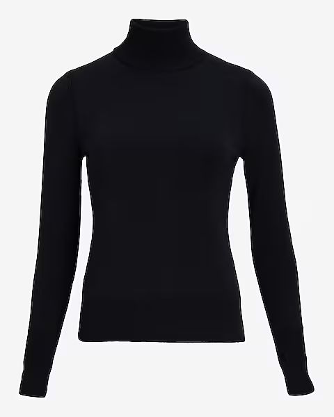 Silky Soft Fitted Turtleneck Sweater | Express (Pmt Risk)