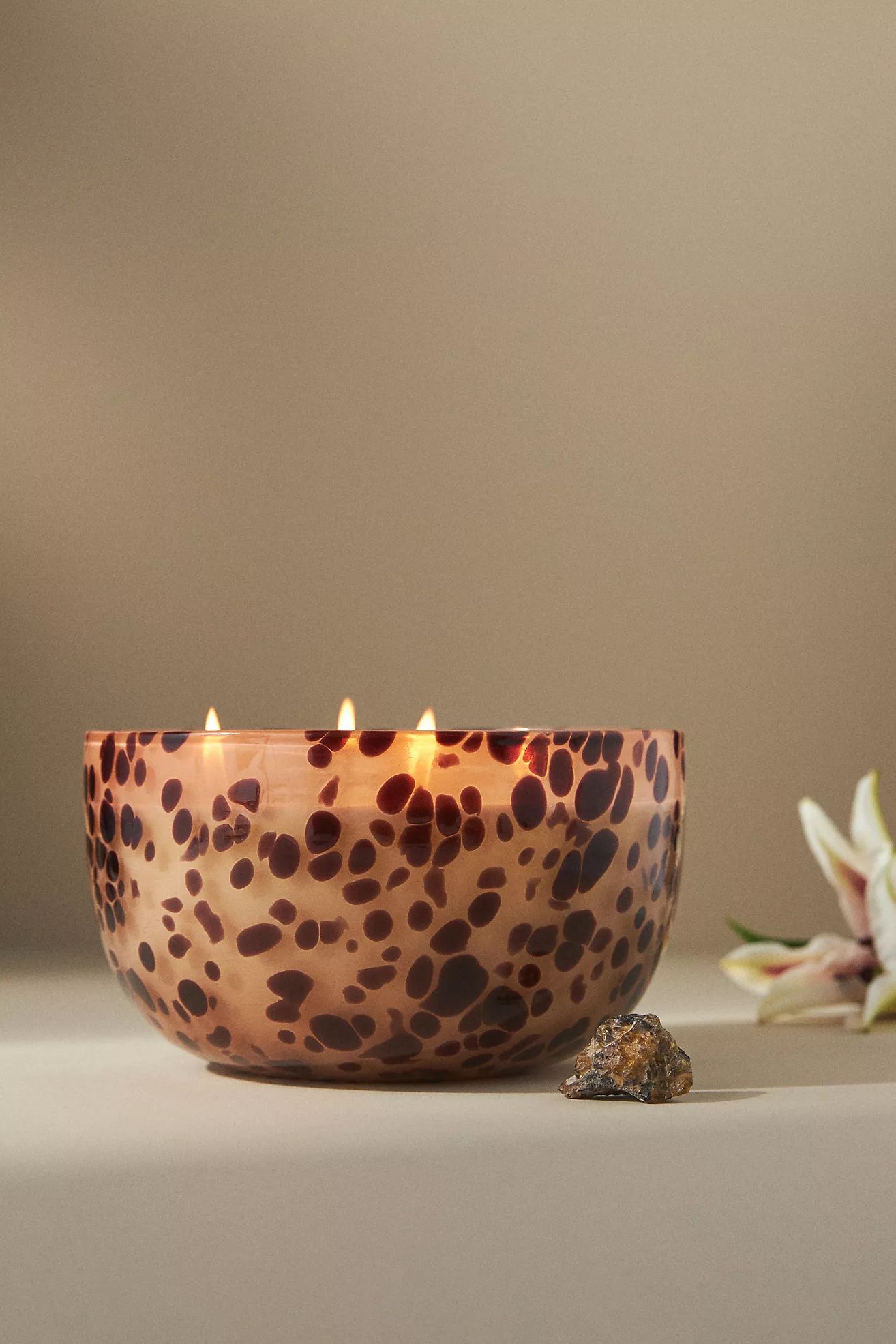 Apothecary 18 Woody Lily & Tonka Glass Candle | Anthropologie (US)