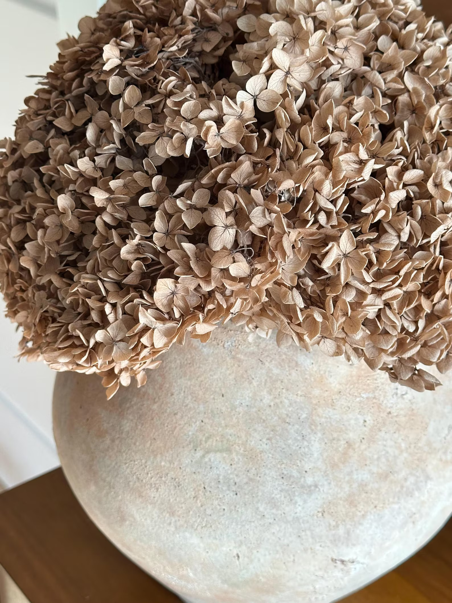 Real Hydrangea Preserved- Large Desert Brown - Etsy | Etsy (US)