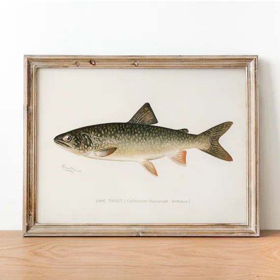 Lake Trout Fish Print Vintage Fishing Poster Wall Art Decor | Etsy | Etsy (US)
