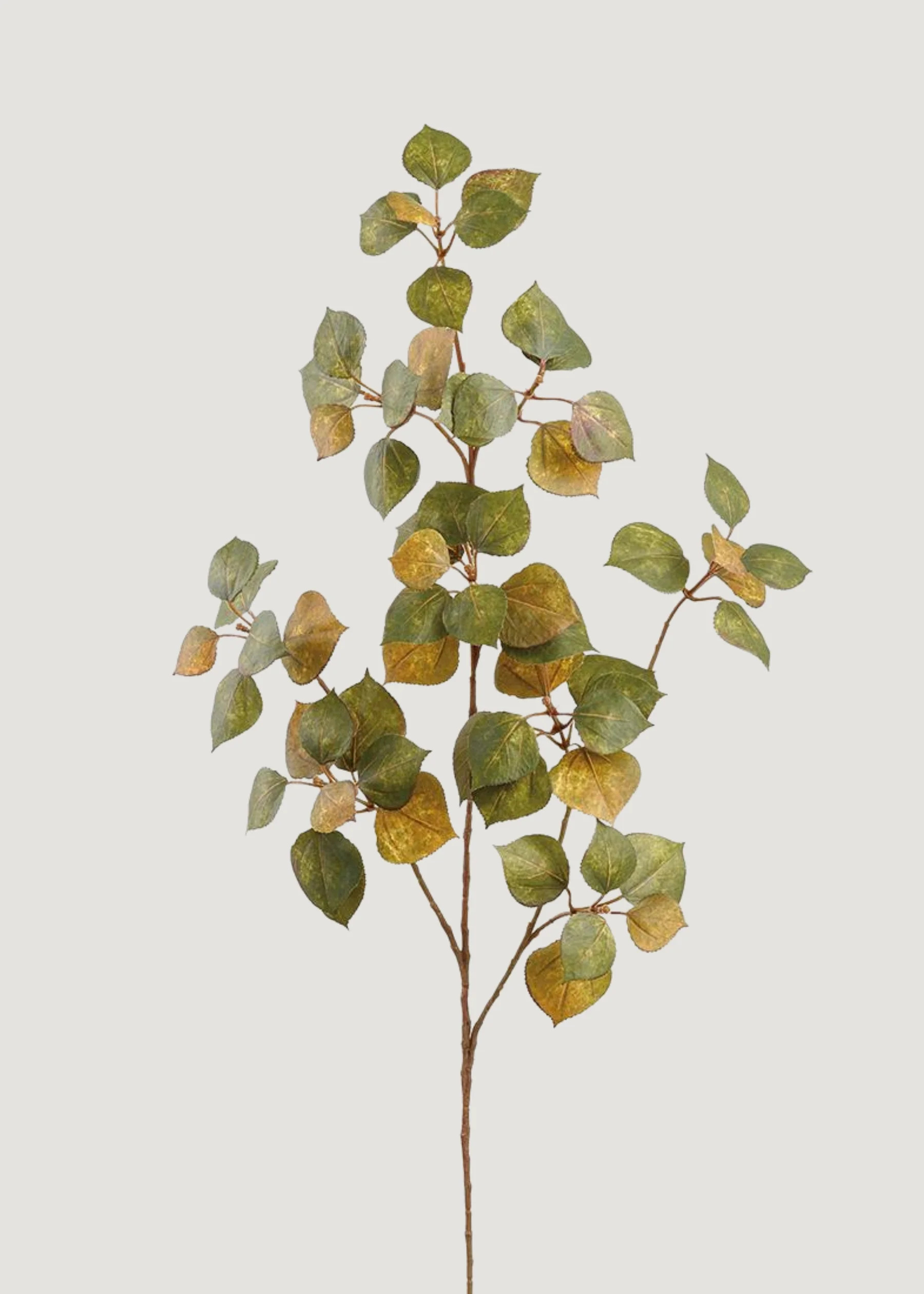 Mustard and Green Cotinus Leaf Branch | Fake Fall Leaves | Afloral | Afloral