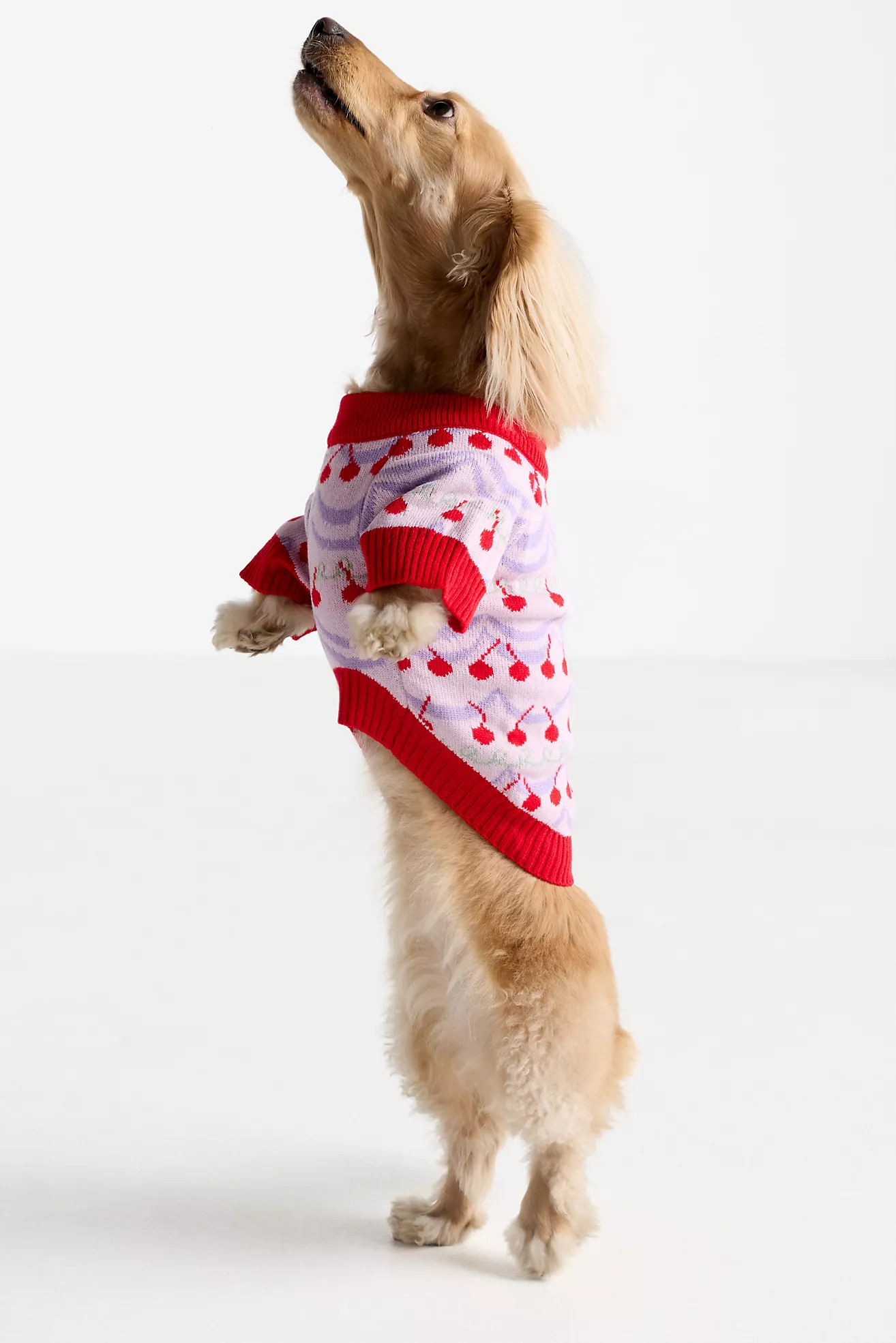 Anthropologie Fairisle Cherry Pet Sweater | Anthropologie (US)