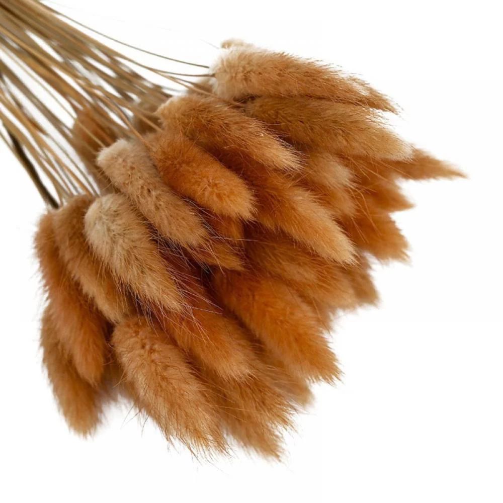 50Pcs Dried Bunny Tails Flowers, 19.7in Rabbit Tail Grass Lagurus Ovatus, Boho Home Decor Bouquet... | Walmart (US)