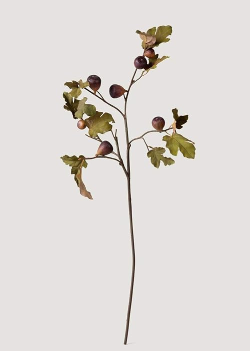 Afloral Eggplant Faux Fig Branch with Dried Look - 37" | Amazon (US)