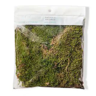 Forest Green Preserved Moss by Ashland® | Moss | Michaels | Michaels Stores
