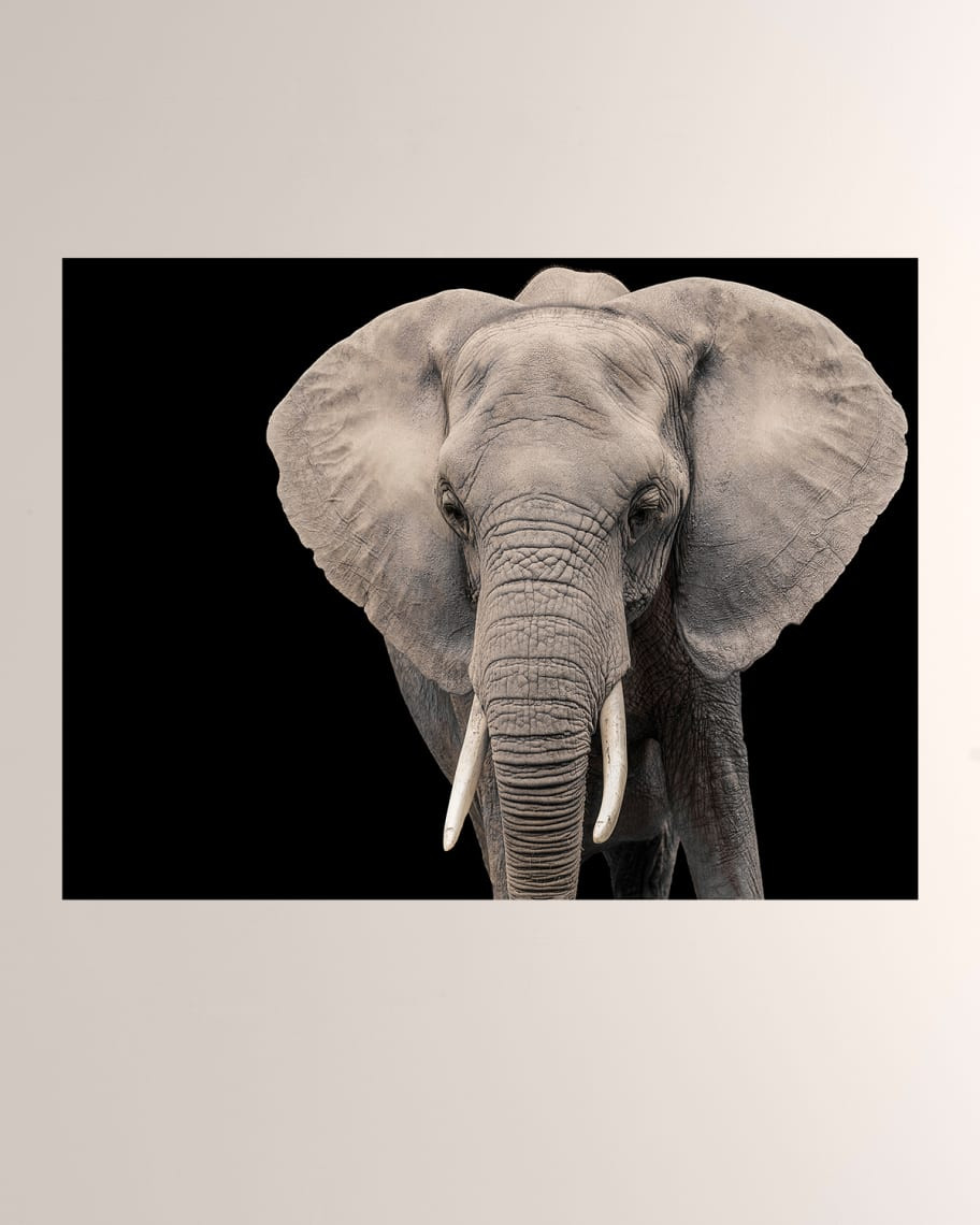 Elephant I Giclee Photo On Plexiglass Wall Art | Neiman Marcus