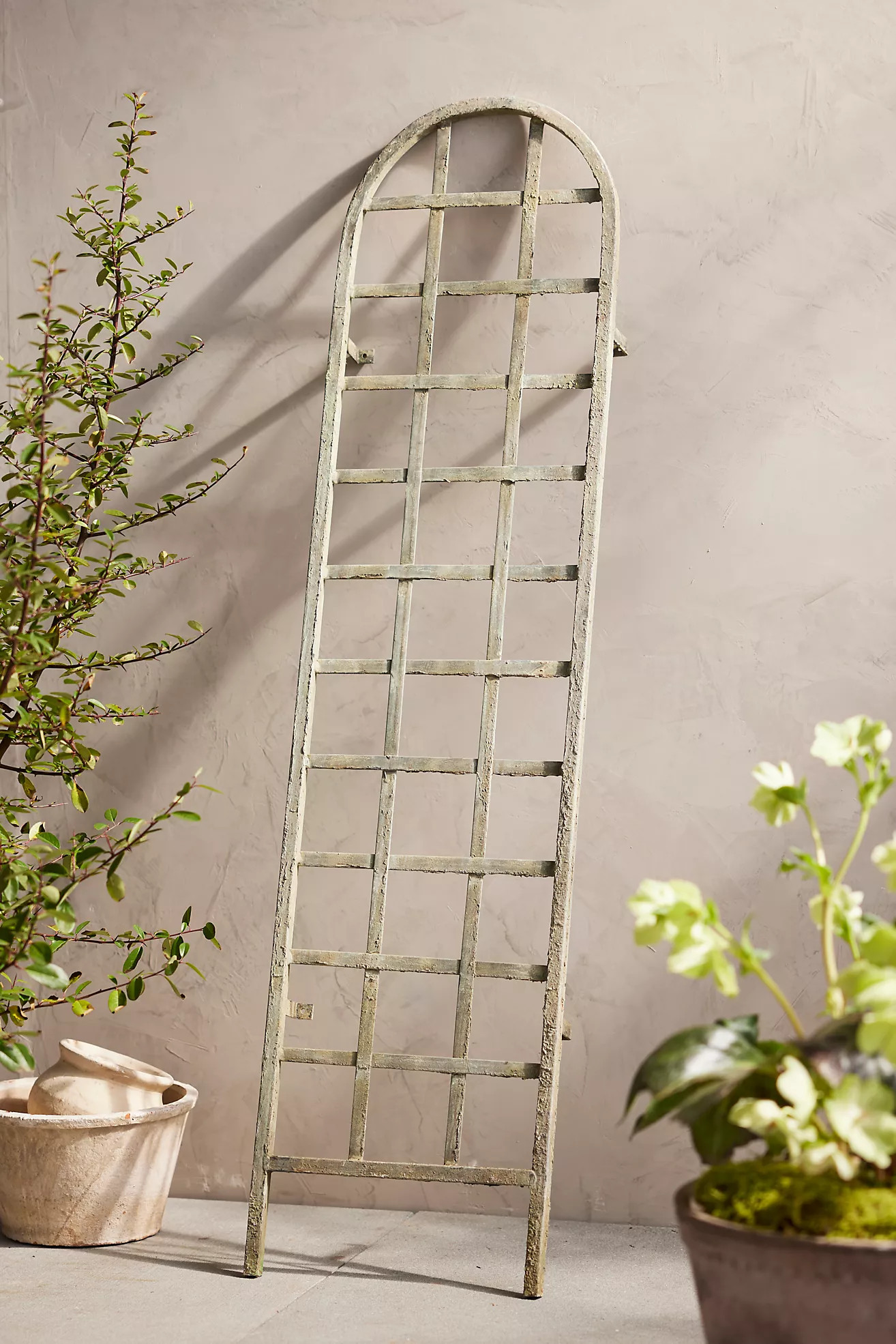 Iron Arch Wall Trellis | Anthropologie (US)