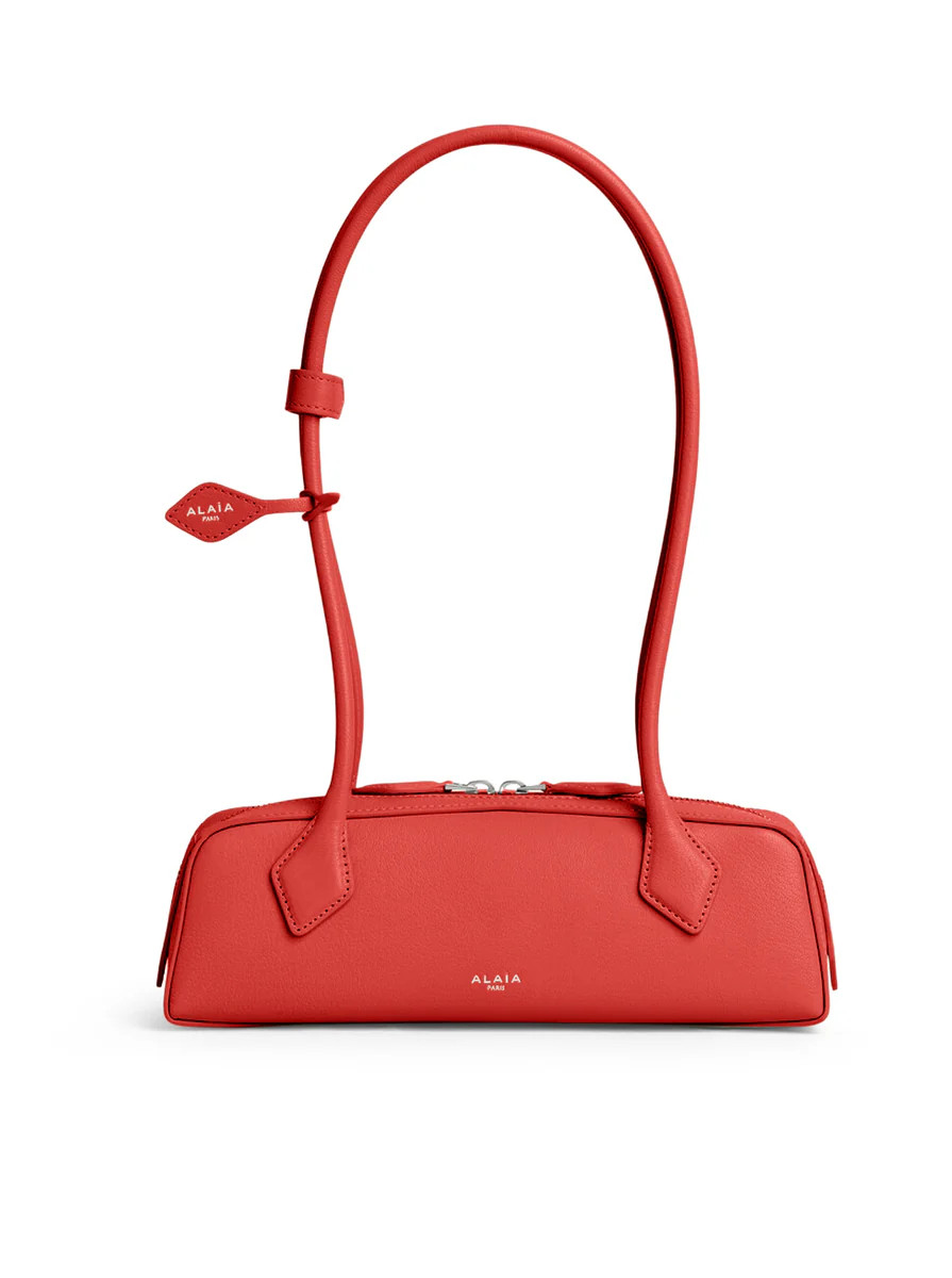 LE TECKEL SMALL IN GOATSKIN | Suitnegozi INT