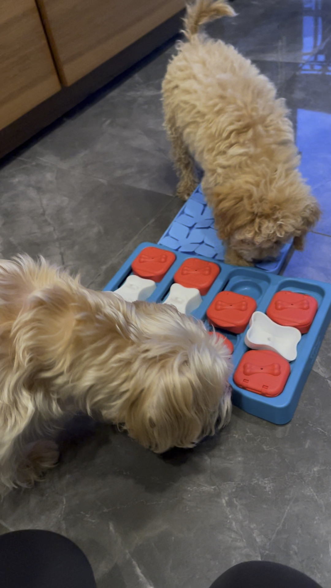 My dog’s favorite snuffle toys for enrichment at dinner time. Great for them to slow down while eating and mentally stimulate them on days I can’t walk them as long or they seem to have more energy .

#LTKfindsunder50