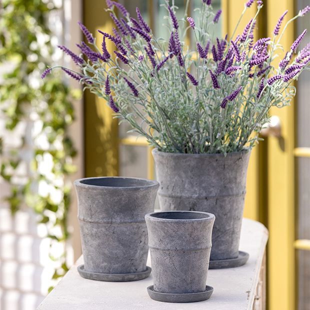 Distressed Cement Garden Pot with Tray | Antique Farm House