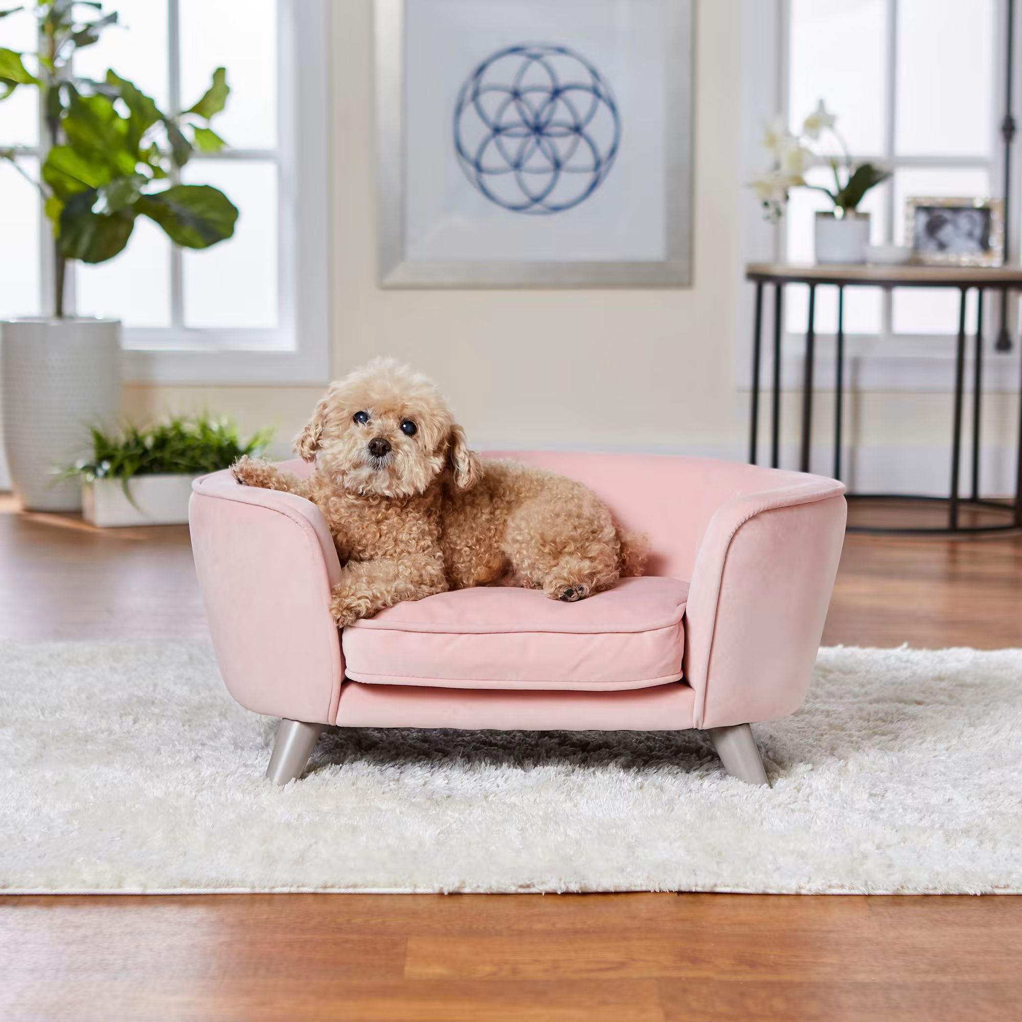 Enchanted Home Pet Blush Romy Pet Sofa, 26.5" L X 16" W X 12" H | Petco