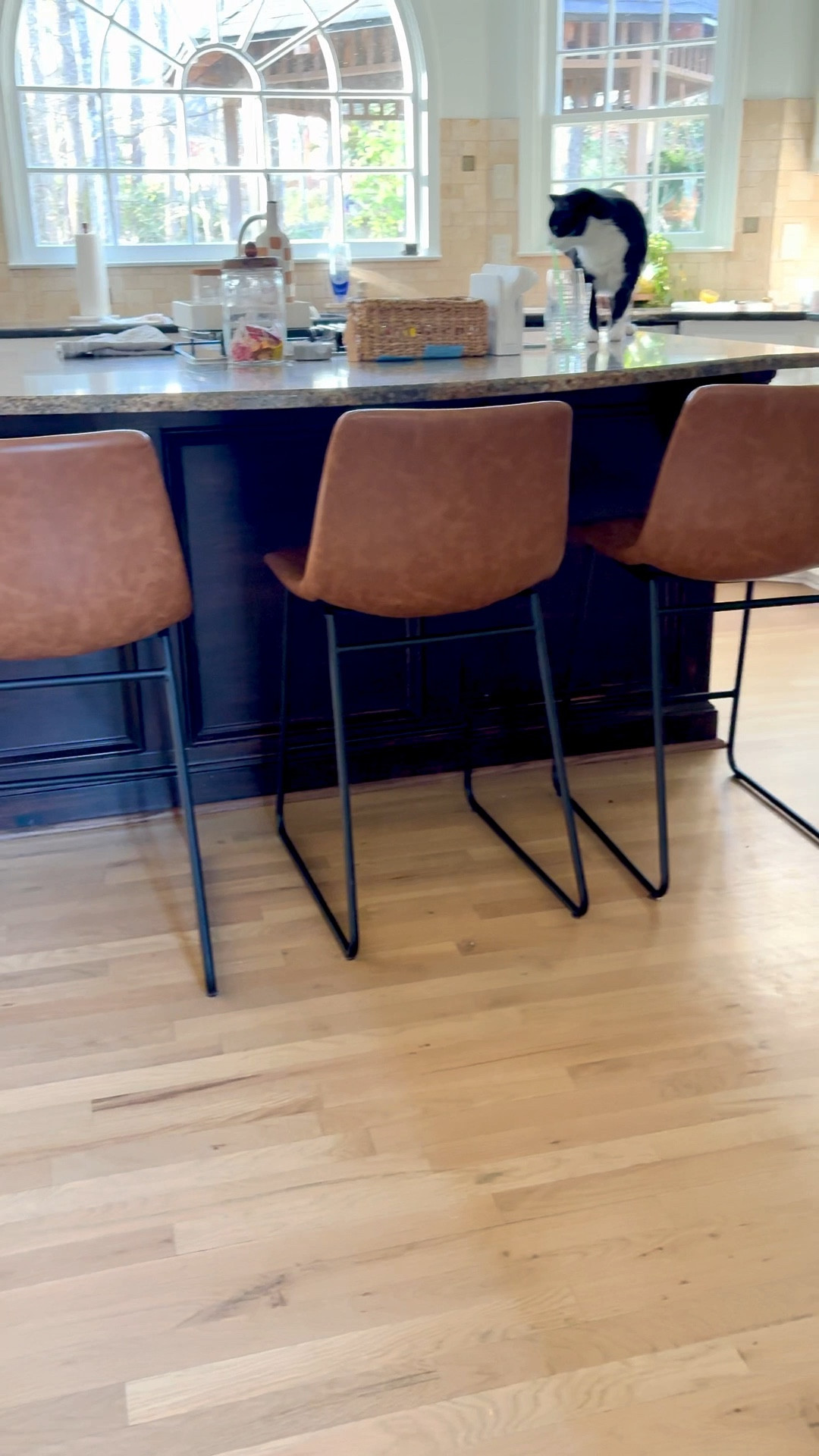 🪑So I wanted some leather chairs that had a similar look but couldn’t get over the price. I was eyeing these for a long time, they had great reviews but you know, it can be hard ordering furniture online! 
I went for it and I am so glad I did. 

Comment the word “shop” and a link will be sent to you. Must be following for the system to work. 🙂

🍒🍒🍒🍒🍒🍒🍒🍒🍒🍒🍒🍒

👶They are kid proof and so comfortable! I have sizes up to 200 lbs in my family and all are happy with these and they look as new as the day I received them! 
Only regret- I waited so long. 😒

#counterstools #kitchenchairs #transitionalhome #neutrallitchen 



#LTKWatchNow #LTKFindsUnder100 #LTKSaleAlert