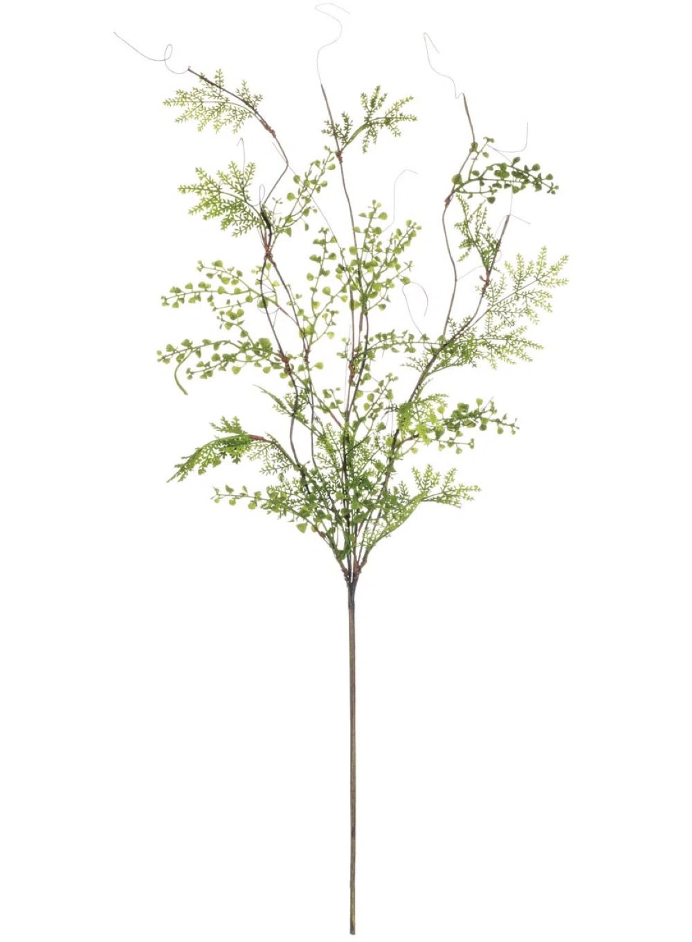 Foliage Arrangement | Wayfair North America