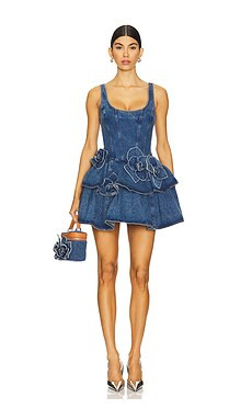 Devyn Saxe Blue Denim Ruffle Dress
                    
                    AKNVAS | Revolve Clothing (Global)