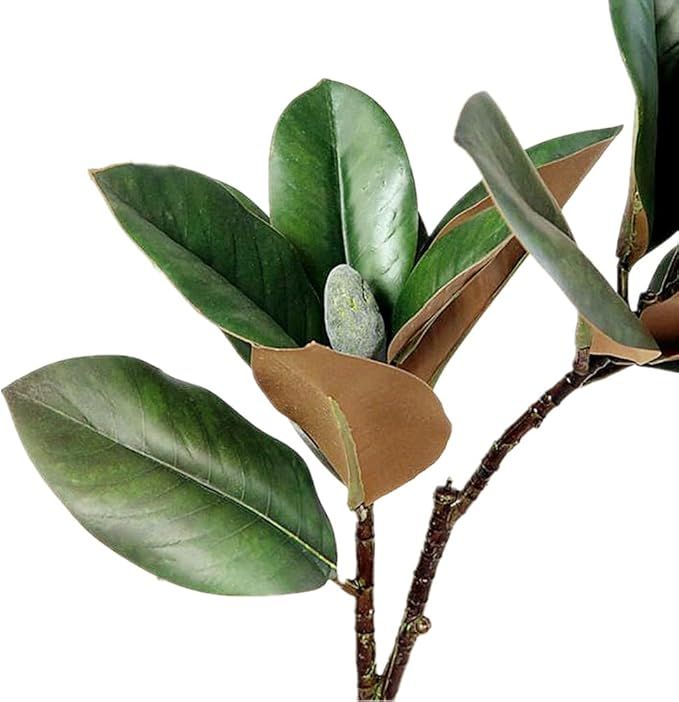 32 Inch Magnolia Artificial Leaves Branches 3D Plastic Printing Houseplant Plant Indoor Outdoor H... | Amazon (US)