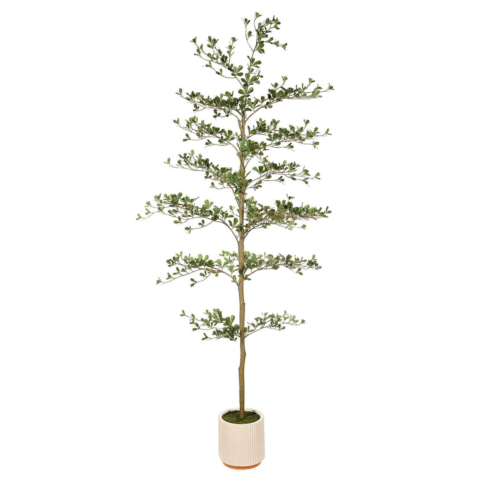 Faux Black Olive Tree 7ft - Realistic Artificial Shady Lady Tree 7 Feet with Pot Indoor Fake Blac... | Amazon (US)