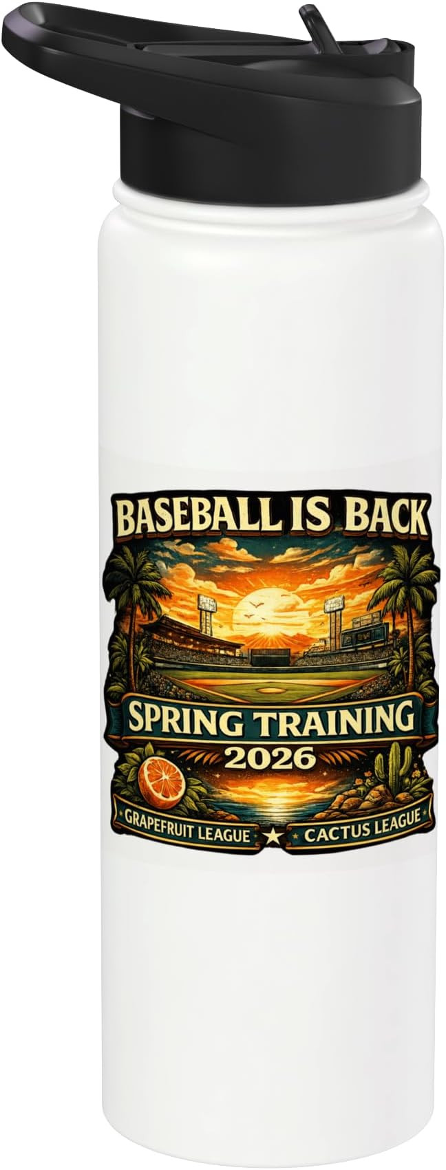 Spring Training Baseball Is Back 2026 Retro Stadium Sunset Stainless Steel Insulated Water Bottle | Amazon (US)