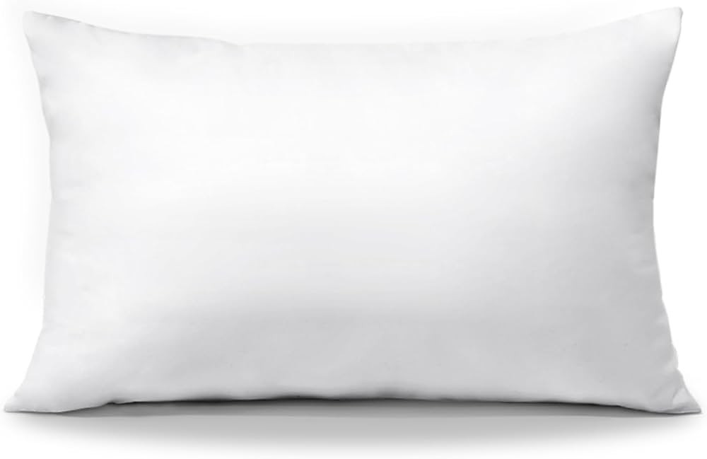 OTOSTAR Throw Pillow Insert, 12 x 20 Cushion Inner Soft Fluffy Plump Stuffer Cushion Pad White De... | Amazon (US)