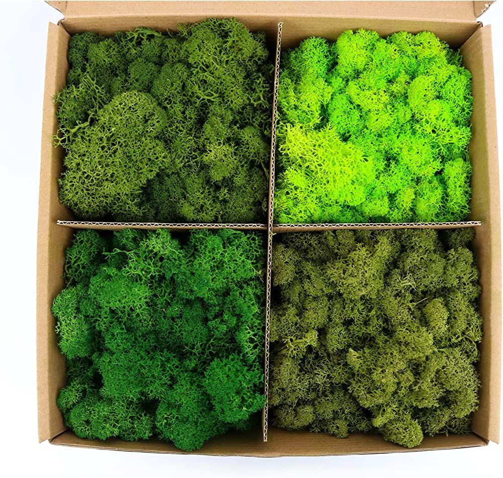 Preserved Moss 4 Color Reindeer Moss, Total 14OZ Each Color 3.5OZ, Colored Moss for Moss Crafts, ... | Amazon (US)