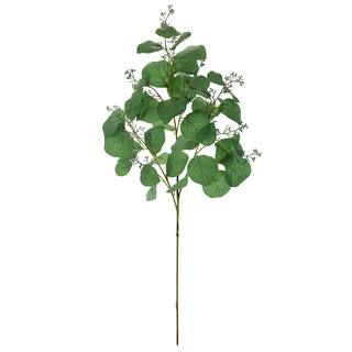Green Seeded Eucalyptus Stem by Ashland® | Michaels Stores