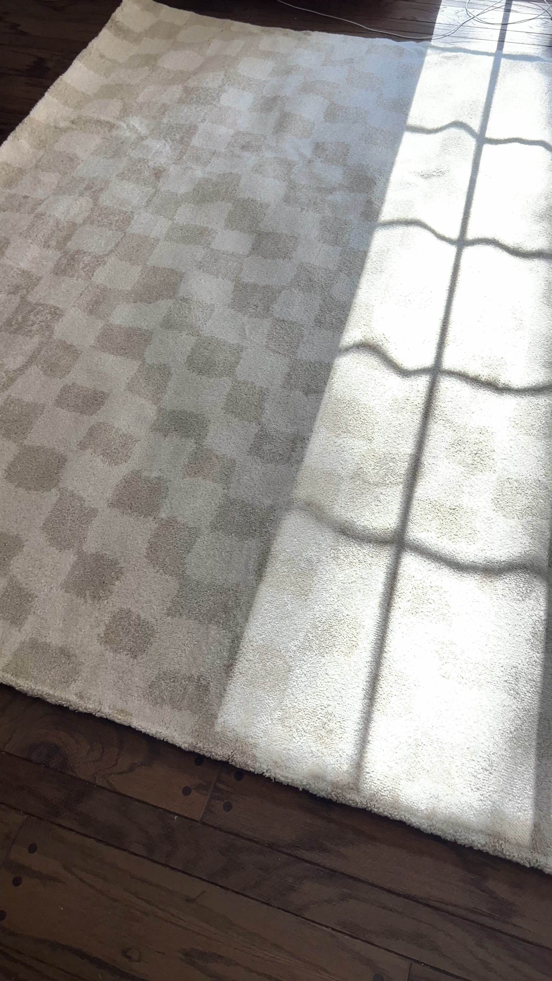 My super affordable checkered rug is here! This is the 8x10 which has sold out but it’s still in stock in 5x7 (which I also purchased 😂) 

#LTKhome