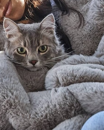 Another cozy blanket? Yes. Because you can never have too many.🤍

The UnHide Marshmallow faux fur blanket is that heavy, grounding comfort you reach for when the world feels loud. It drapes over you like safety. Plush, extra soft, and just weighted enough to make your whole body exhale. Candle lit. Phone on silent. Tea steaming. You, wrapped in quiet luxury.

Made from recycled materials, completely cruelty free and fur free, and machine washable. So your self care feels as good ethically as it does physically. This is cozy comfort, elevated. This is rest without guilt.🌙

#LTKHome #LTKselfcare #LTKSeasonal