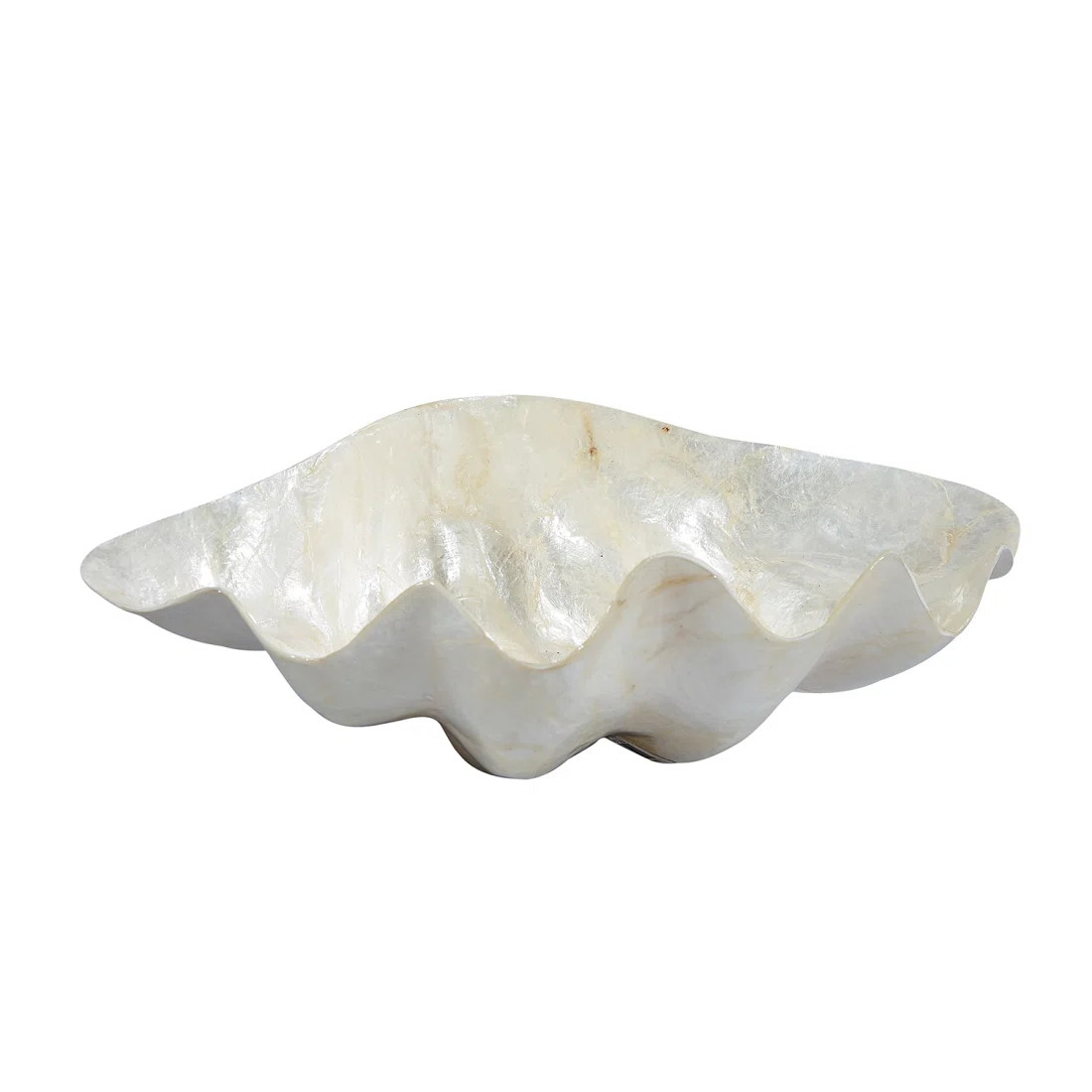 Clam Shaped Ivory Capiz Bowl 4x7x11" | Wayfair North America