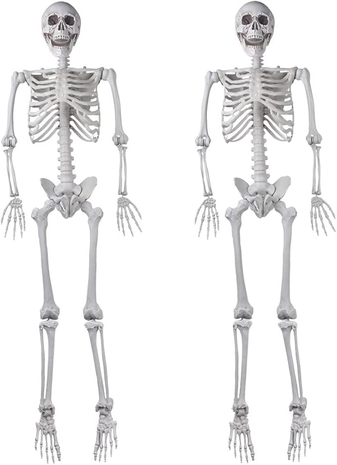 2Packs 5.4ft Halloween Human Skeletons Life Size Full Body Bones with Movable Joints for Hallowee... | Amazon (US)