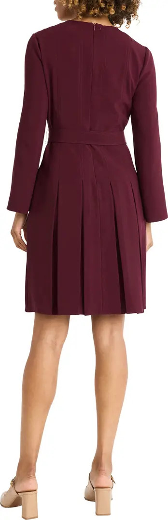 Seamed Pleated Long Sleeve Dress | Nordstrom