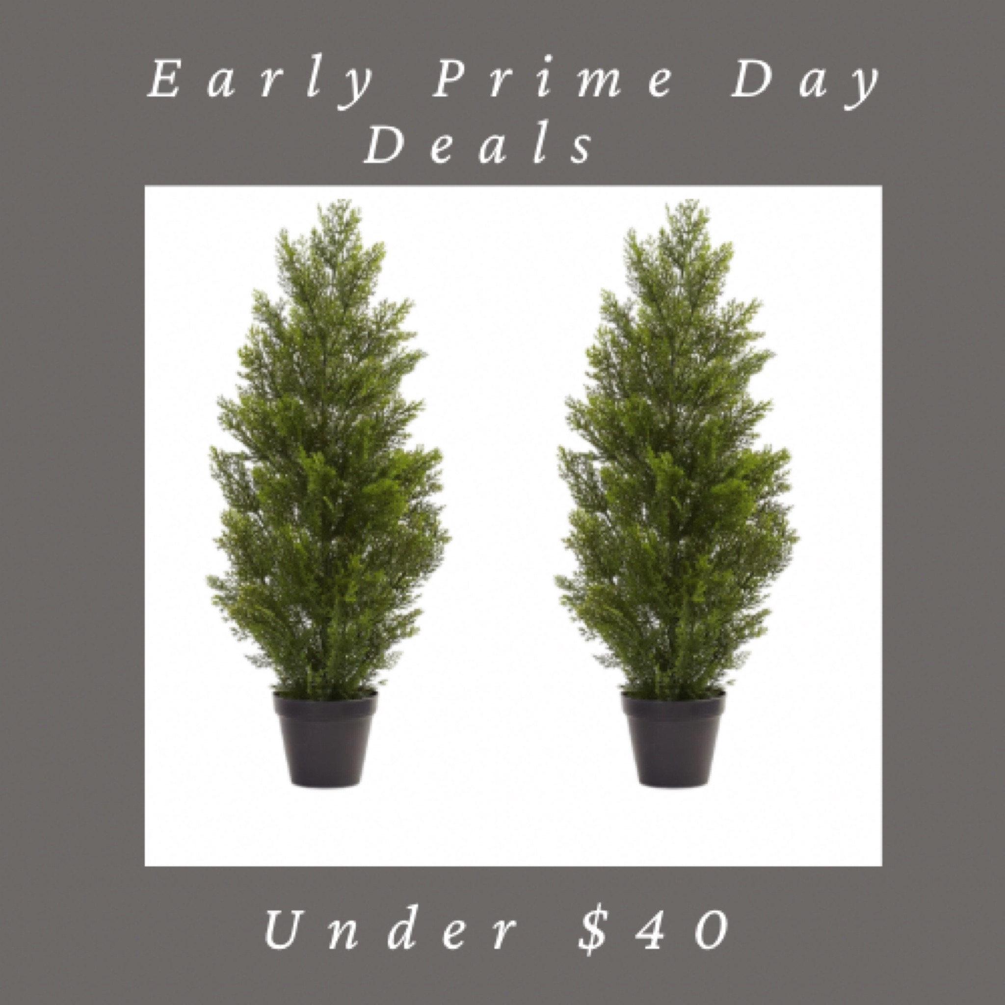 These faux cedar trees are on Early Prime Day Deals! They can be used indoor or outdoor. #primdaydeals 

#LTKSeasonal #LTKfindsunder50 #LTKHolidaySale