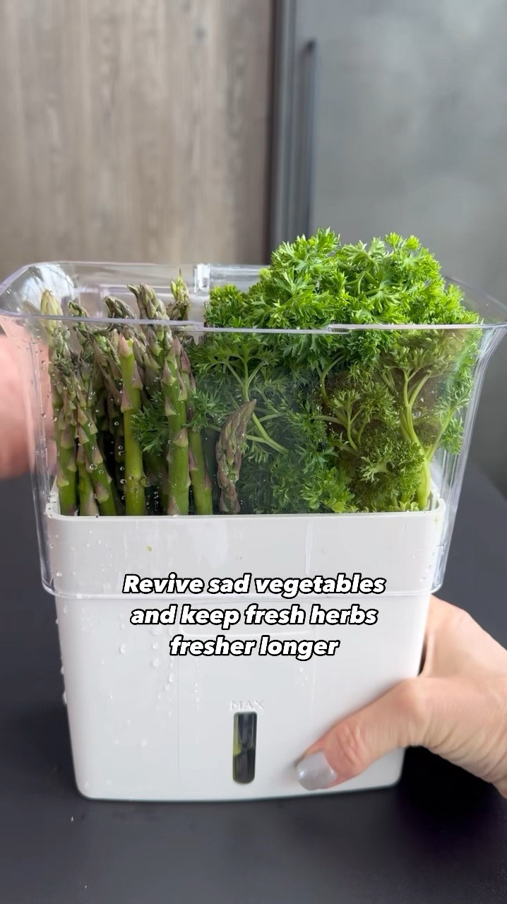 Amazon kitchen finds for summer! Which one’s your favorite?

#LTKVideo #LTKSeasonal #LTKfindsunder50