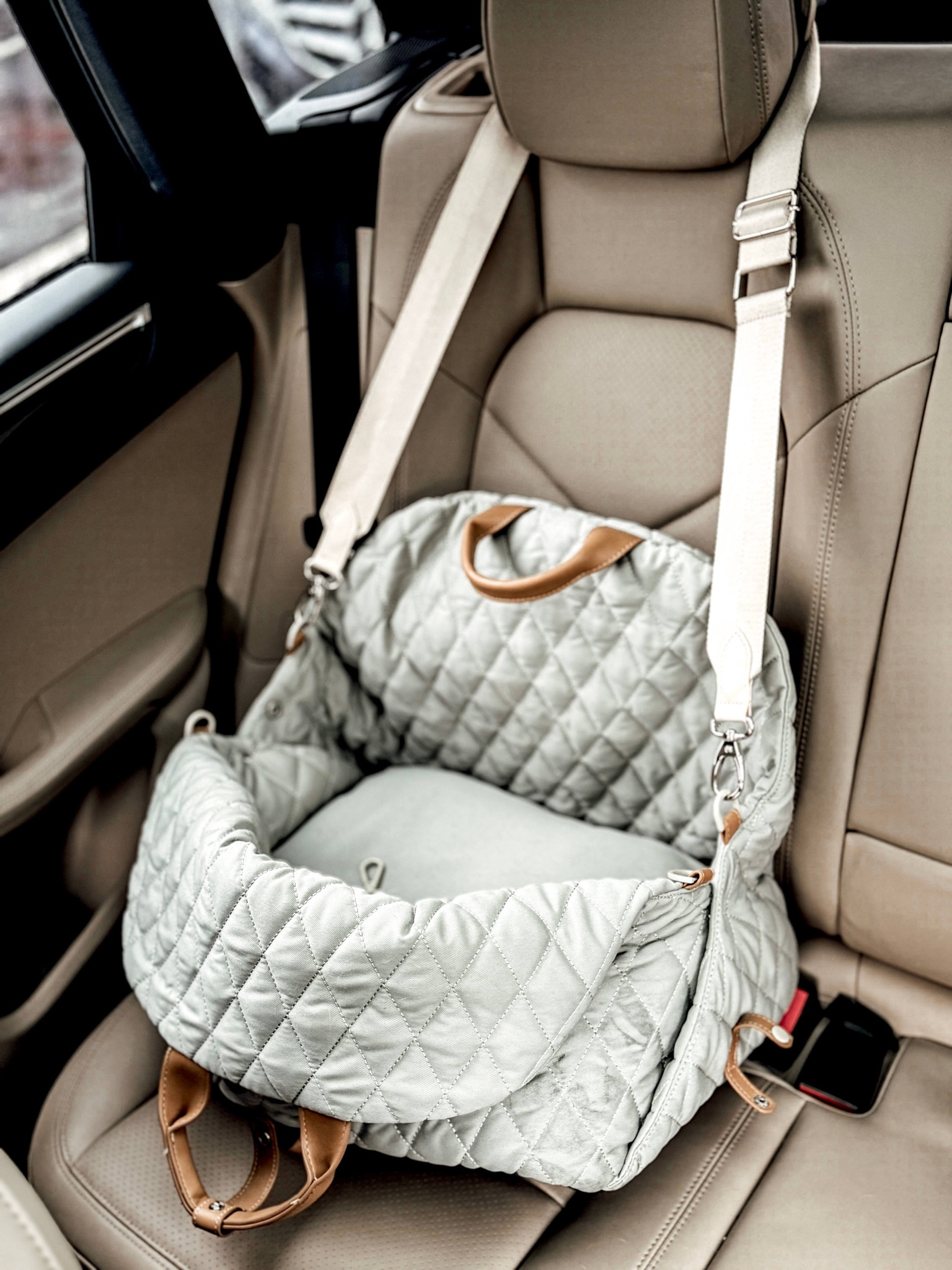 Dog Car Seat Bag 
#ltkpet

#LTKHome #LTKGiftGuide #LTKSeasonal