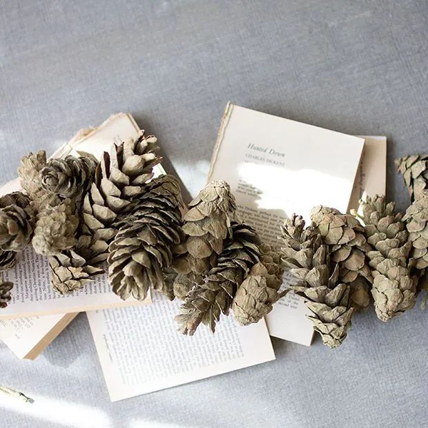 Frosted Sage Pine Decorative Garland Set of 2 | Antique Farm House