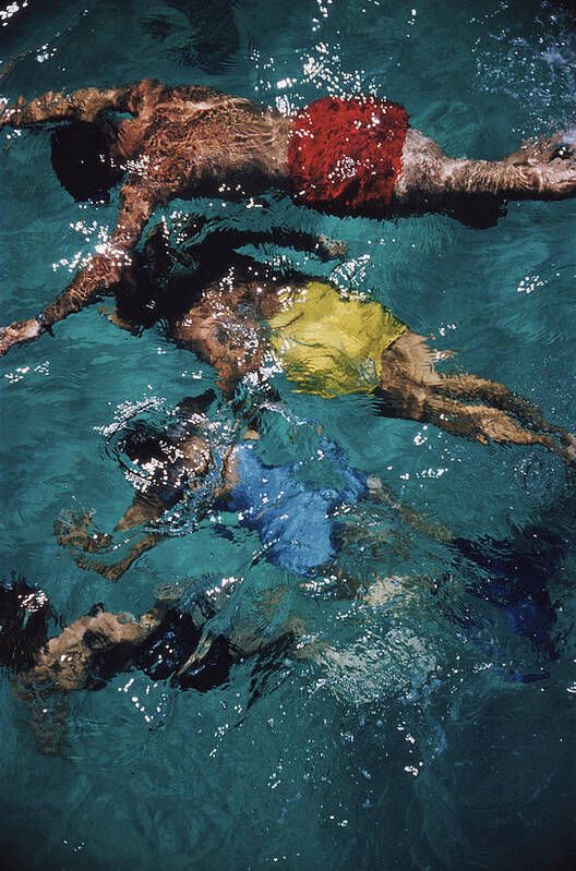 Swimming In The Bahamas Art Print | Fine Art America