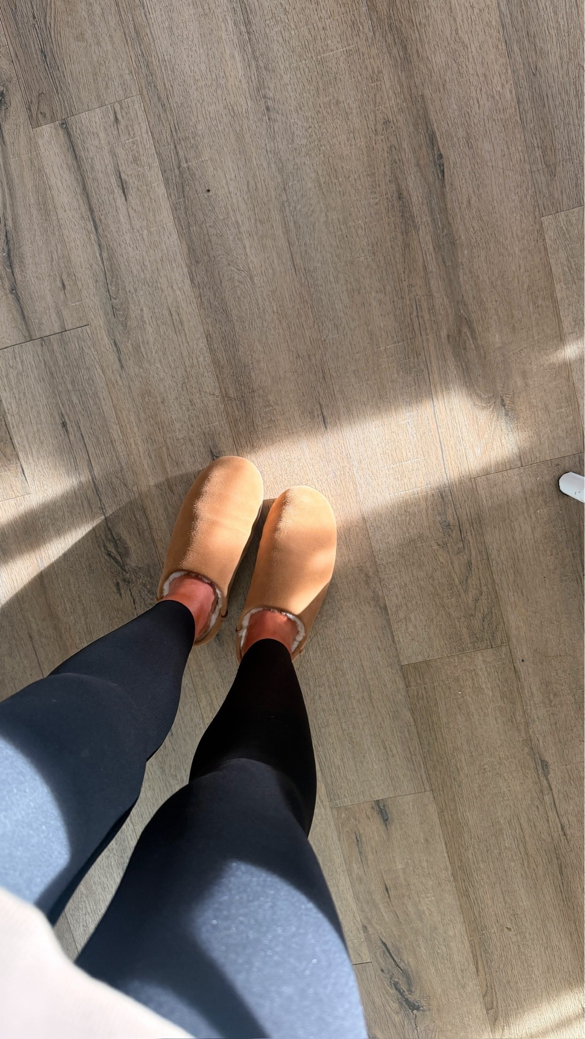 My favorite slippers for fall and winter!