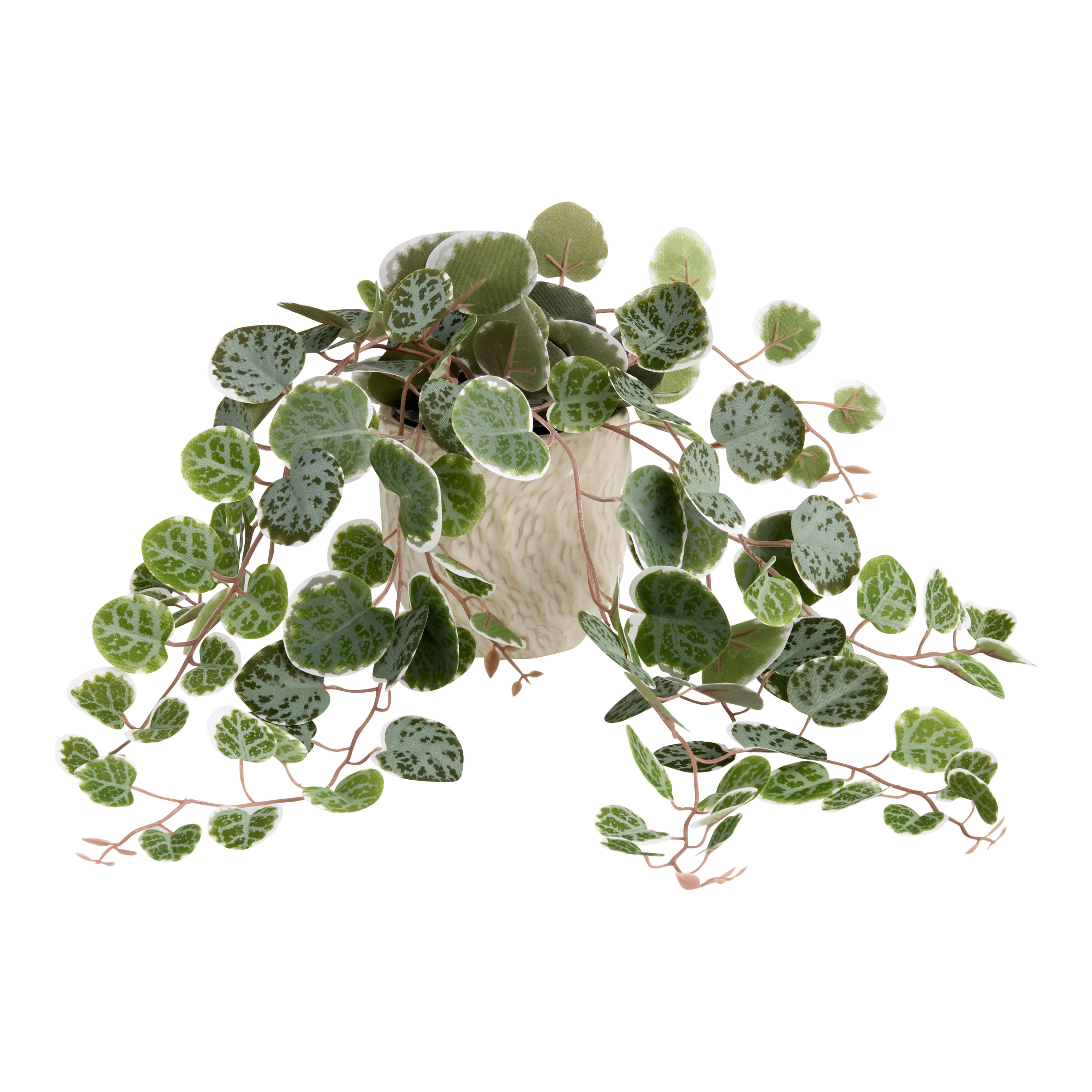 Faux String of Turtles Plant in Tan Ceramic Wavy Pot | World Market