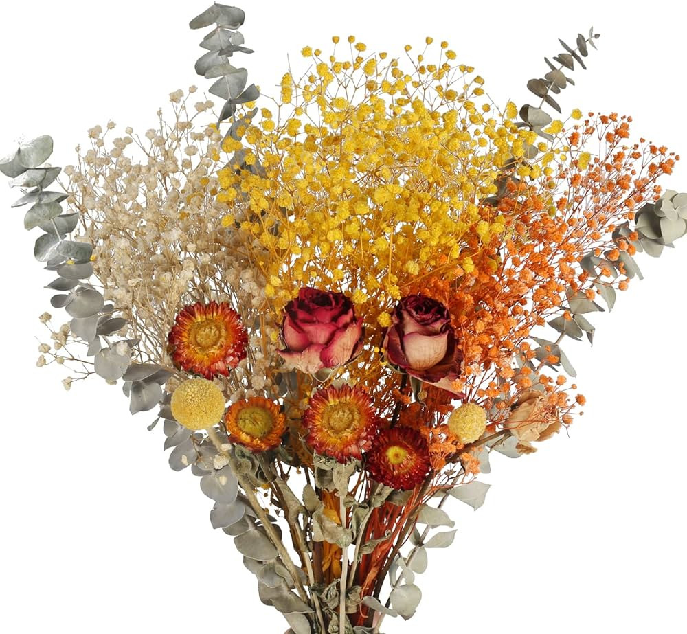 XHXSTORE Natural Dried Flowers Bouquet 6 Types Fall Flowers Dried Babys Breath Orange Dried Flora... | Amazon (US)